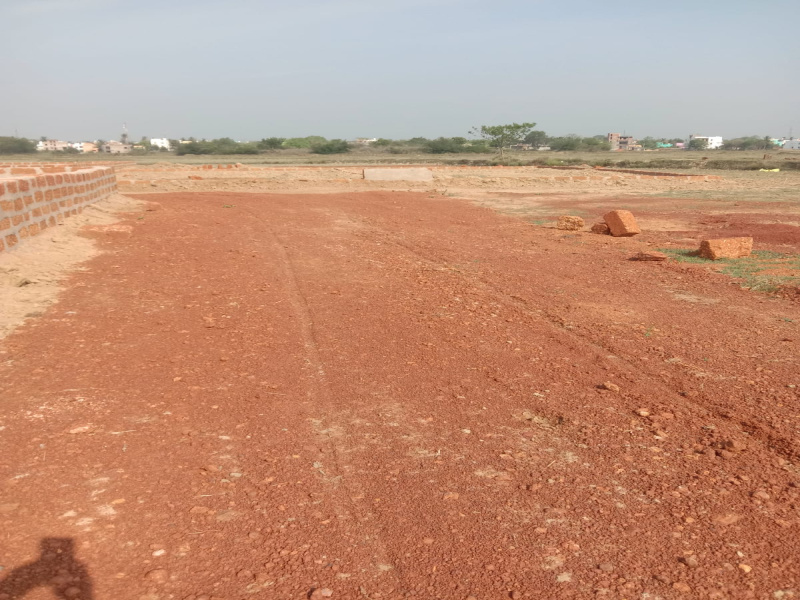  Residential Plot 1200 Sq.ft. for Sale in Sundarpada, Bhubaneswar