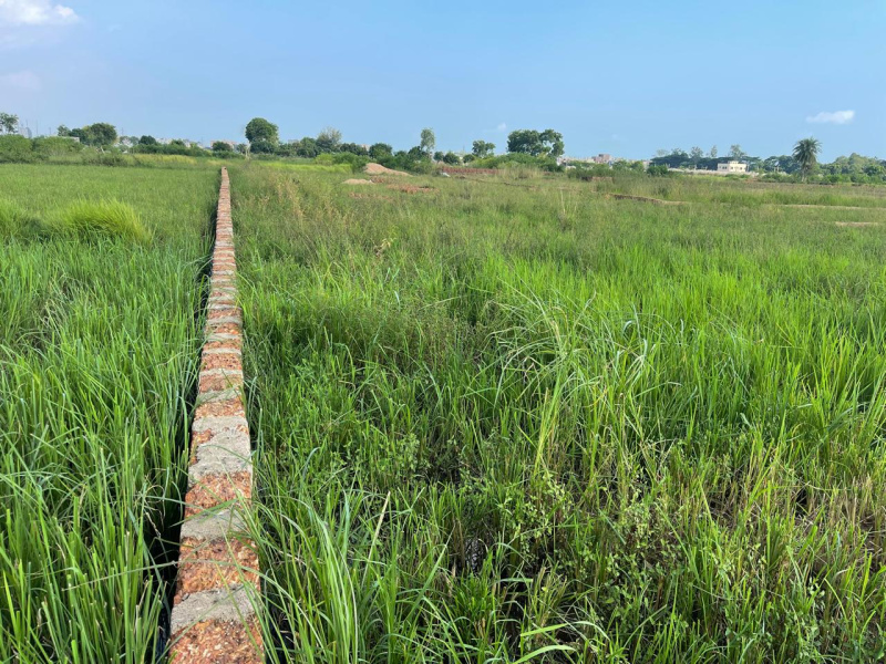  Residential Plot 2000 Sq.ft. for Sale in Sundarpada, Bhubaneswar