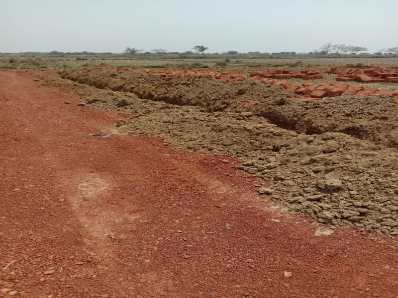  Residential Plot 1505 Sq.ft. for Sale in Uttara, Bhubaneswar