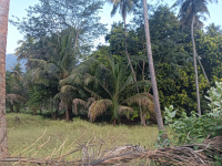  Agricultural Land for Sale in Watrap, Virudhunagar