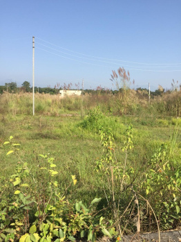  Residential Plot for Sale in Chidderwala, Dehradun