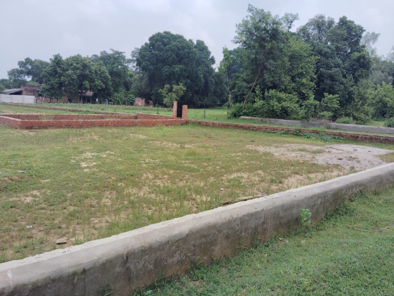  Residential Plot 800 Sq.ft. for Sale in Gosaiganj, Lucknow