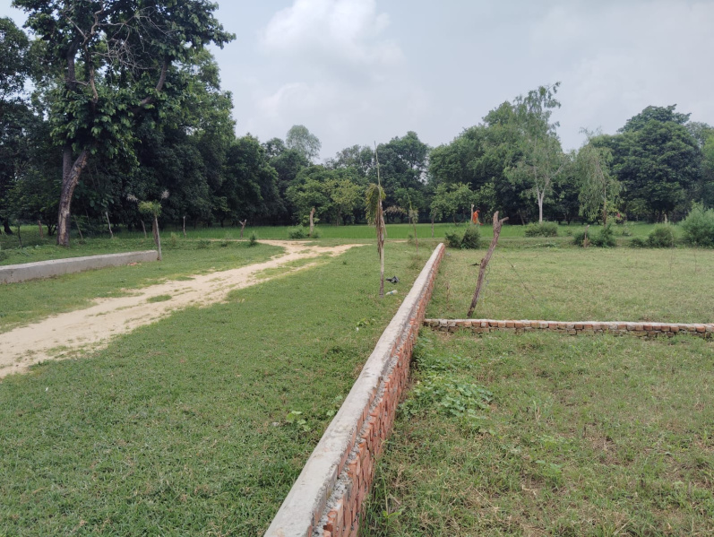  Residential Plot 800 Sq.ft. for Sale in Gosaiganj, Lucknow