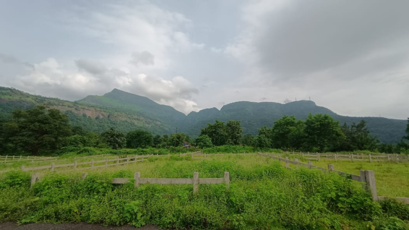  Residential Plot 3229 Sq.ft. for Sale in Neral, Raigad