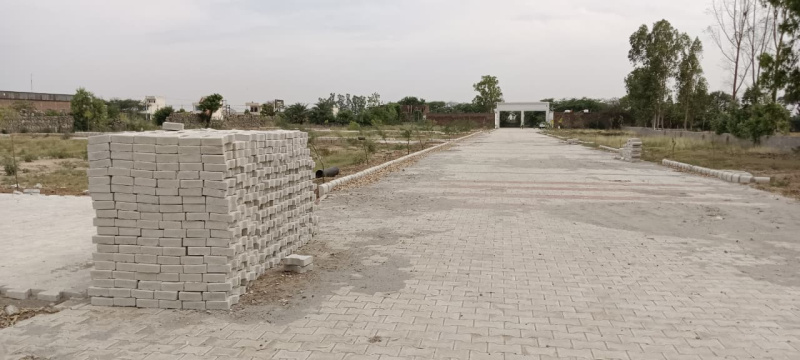  Residential Plot 100 Sq.ft. for Sale in Dappar, Dera Bassi