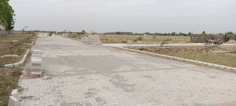  Residential Plot 100 Sq.ft. for Sale in Dappar, Dera Bassi