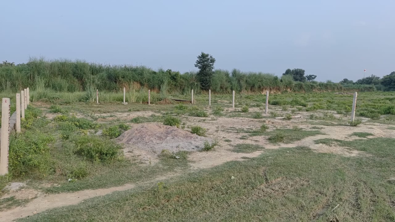  Residential Plot 25 Bigha for Sale in Handia, Allahabad