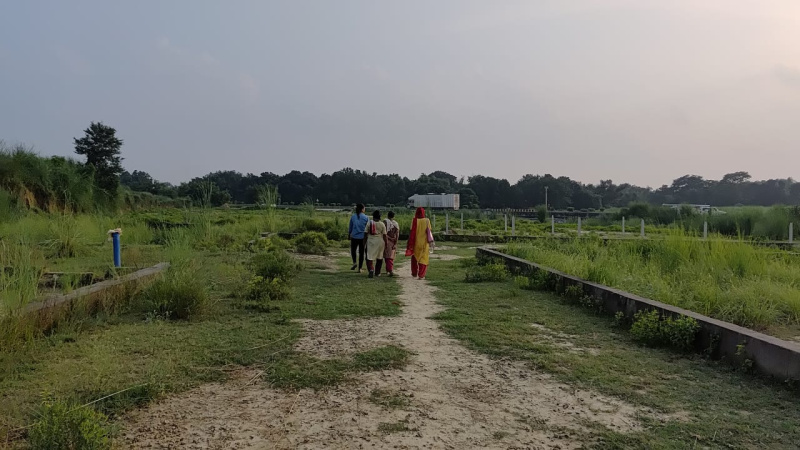  Residential Plot 25 Bigha for Sale in Handia, Allahabad