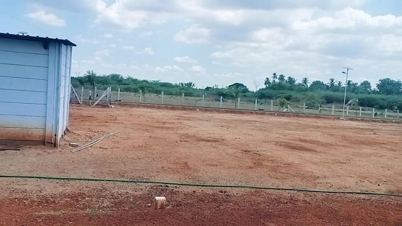  Residential Plot 1000 Sq.ft. for Sale in Woraiyur, Tiruchirappalli