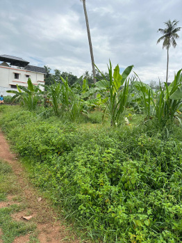  Commercial Land for Sale in Anchal, Kollam