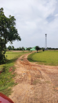 2 BHK Farm House for Sale in Udala, Mayurbhanj