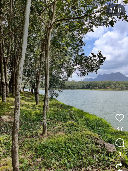  Agricultural Land 4 Acre for Sale in Kadayal, Kanyakumari
