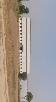  Residential Plot for Sale in Kanwara Village, Faridabad