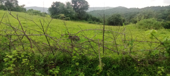  Agricultural Land for Sale in Tala, Raigad
