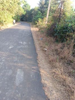  Agricultural Land for Sale in Mangaon, Raigad