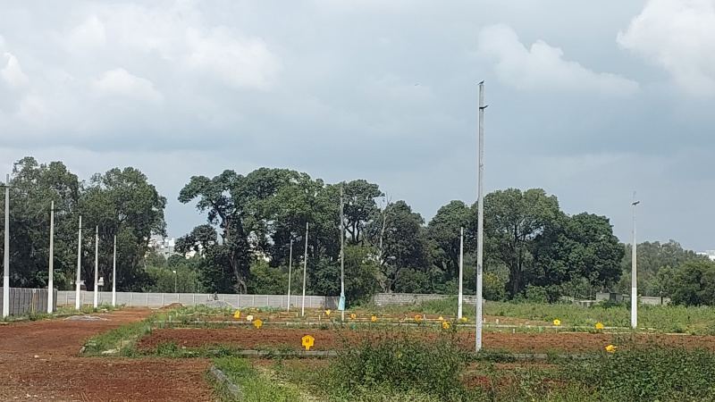  Residential Plot 1200 Sq.ft. for Sale in Phase 1, Electronic City, Bangalore