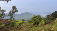 Residential Plot for Sale in Metgutad, Mahabaleshwar