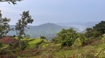  Residential Plot for Sale in Metgutad, Mahabaleshwar