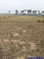  Residential Plot for Sale in Jamalpur, Munger