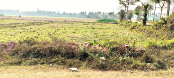  Residential Plot for Sale in Pipili, Puri