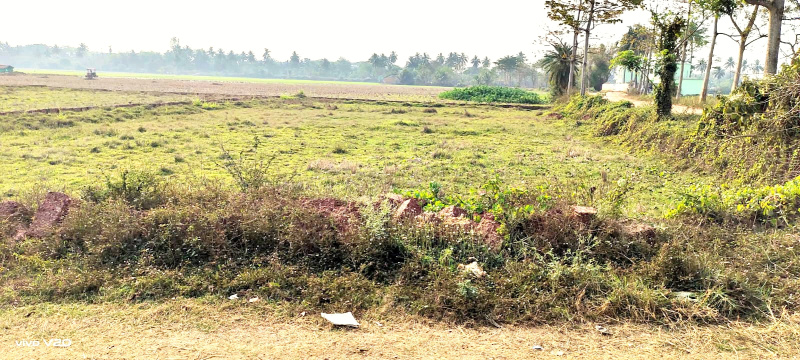  Residential Plot 5400 Sq.ft. for Sale in Pipili, Puri