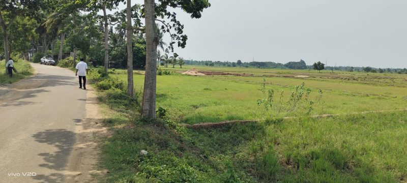  Commercial Land 5400 Sq.ft. for Sale in Pipili, Puri