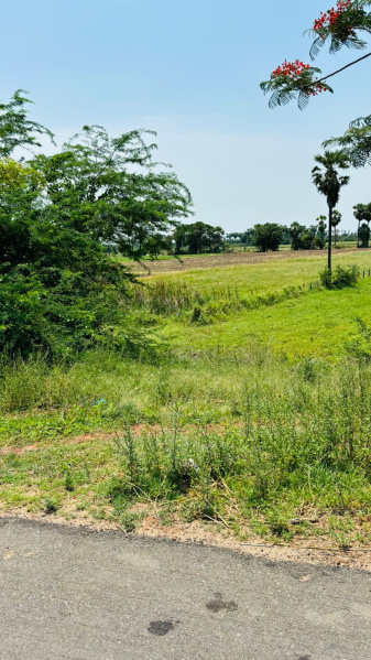  Agricultural Land 1 Acre for Sale in Vijayawada Guntur Highway