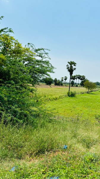  Agricultural Land 1 Acre for Sale in Vijayawada Guntur Highway