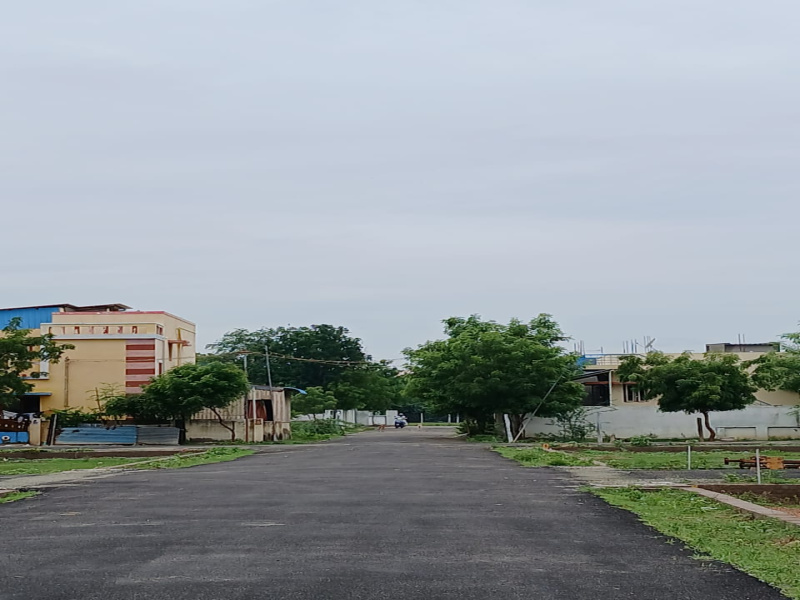  Residential Plot 1200 Sq.ft. for Sale in Trichy Highways, Tiruchirappalli