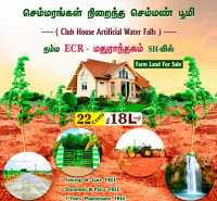 Agricultural Land for Sale in Madurantakam, Chennai