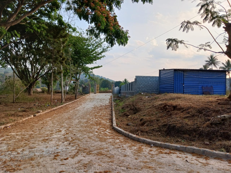  Residential Plot 2160 Sq.ft. for Sale in Yelagiri, Vellore