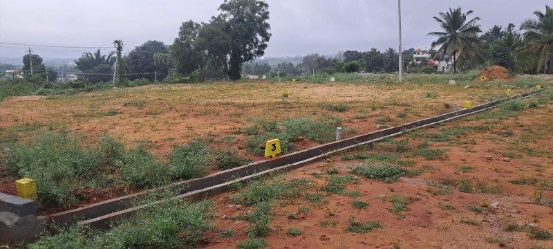  Residential Plot 600 Sq.ft. for Sale in Mysore Road, Bangalore