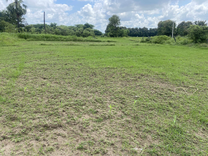  Agricultural Land 2 Acre for Sale in Shambunipet, Warangal