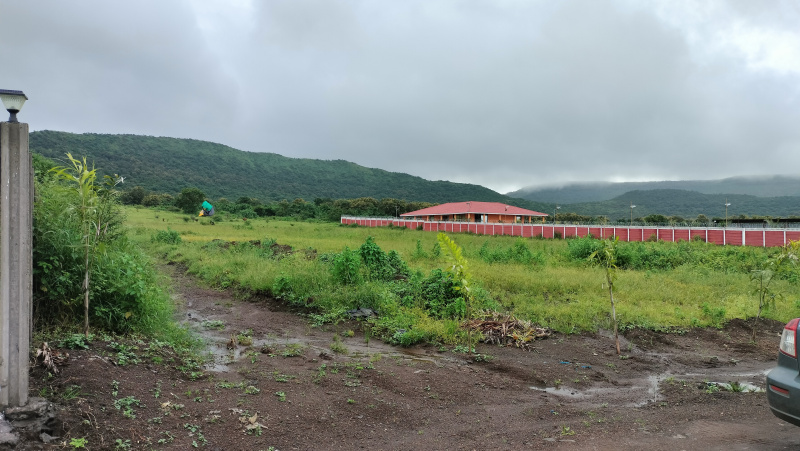  Agricultural Land 10 Guntha for Sale in Trimbakeshwar, Nashik