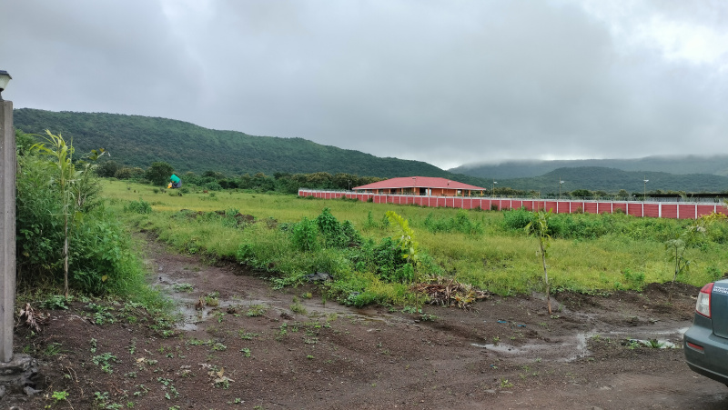  Agricultural Land 10 Guntha for Sale in Trimbakeshwar, Nashik