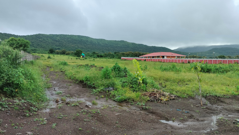  Agricultural Land 10 Guntha for Sale in Trimbakeshwar, Nashik