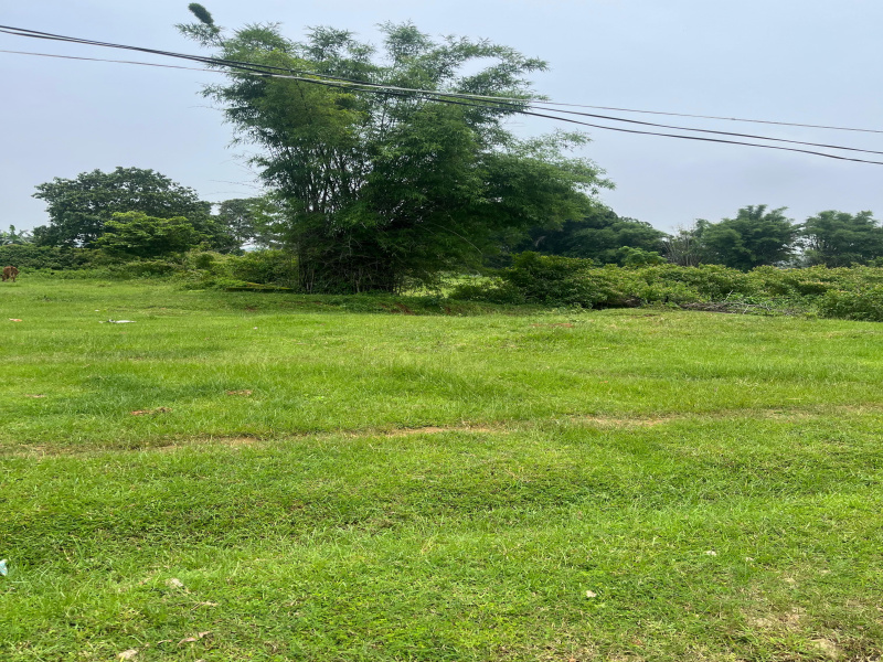  Residential Plot 47 Dismil for Sale in Ratu, Ranchi
