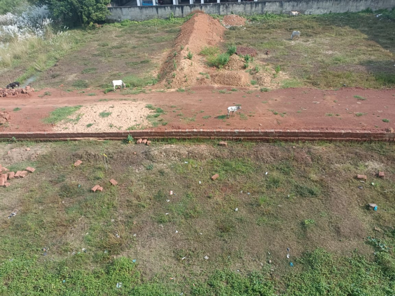  Residential Plot 1500 Sq.ft. for Sale in Sundarpada, Bhubaneswar