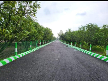  Residential Plot for Sale in Acharapakkam, Chengalpattu