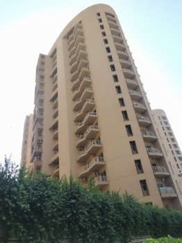 3 BHK Flat for Sale in Sector 20 Panchkula