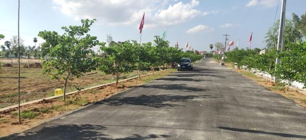  Residential Plot 200 Sq. Yards for Sale in Vizianagaram, Visakhapatnam