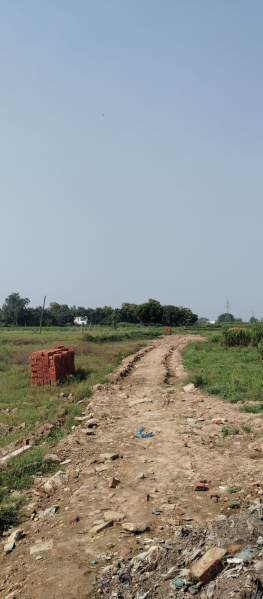  Residential Plot 1360 Sq.ft. for Sale in Rohania, Varanasi