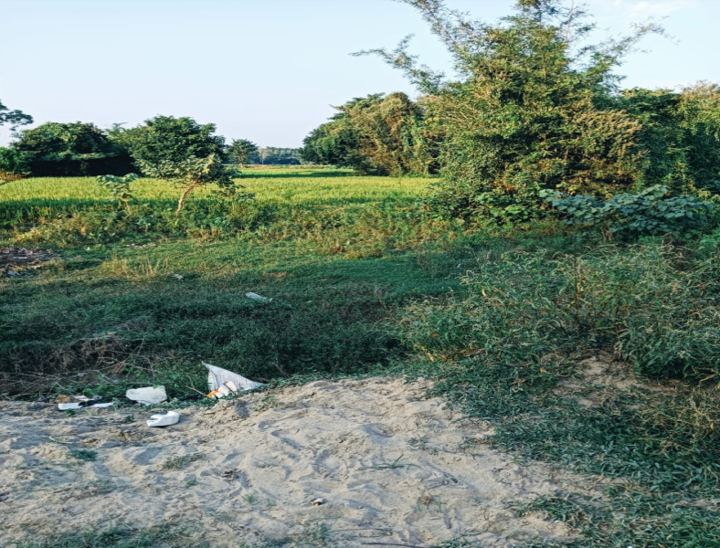  Residential Plot 1 Katha for Sale in Birpur, Supaul