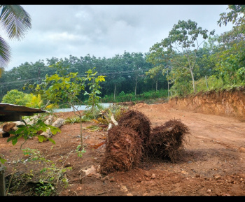  Residential Plot for Sale in Kadakkal, Kollam