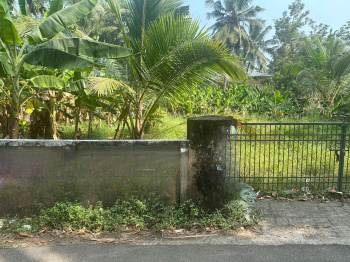 Residential Plot for Sale in Kuttanellur, Thrissur