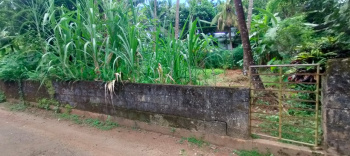  Residential Plot for Sale in Viyyur, Thrissur