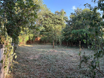  Residential Plot for Sale in Velappaya, Thrissur