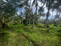  Residential Plot for Sale in Chavara, Kollam