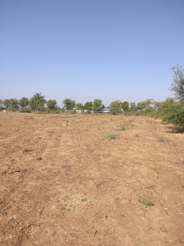  Agricultural Land for Sale in Rani, Pali