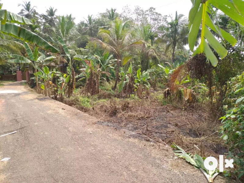  Residential Plot 18 Cent for Sale in Perinthalmanna, Malappuram